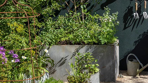 How to create a galvanised container garden.