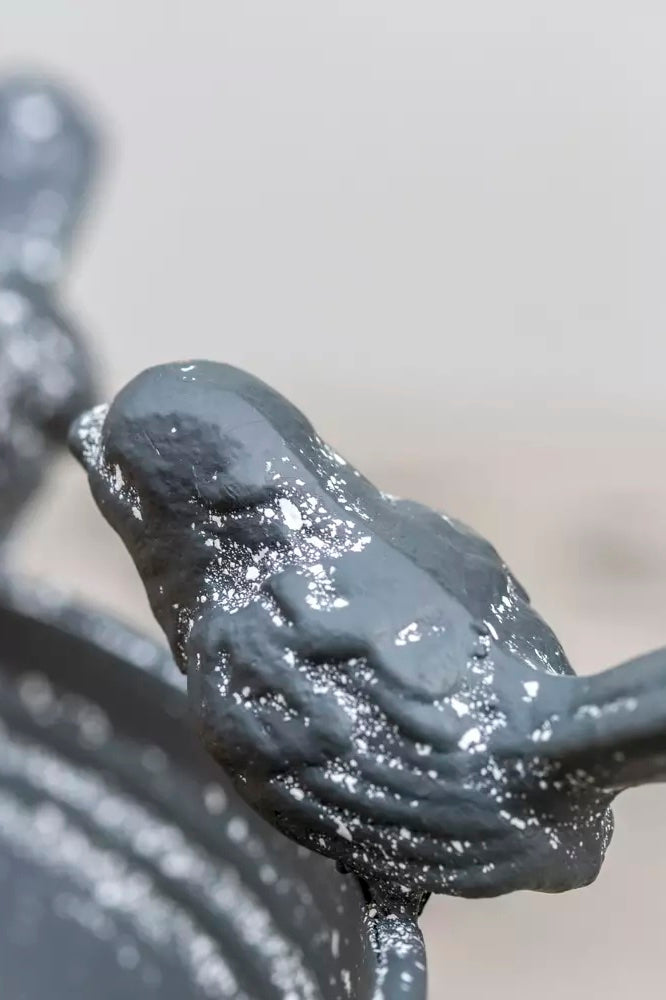 Bird Bath Feeder with Feet - Grey