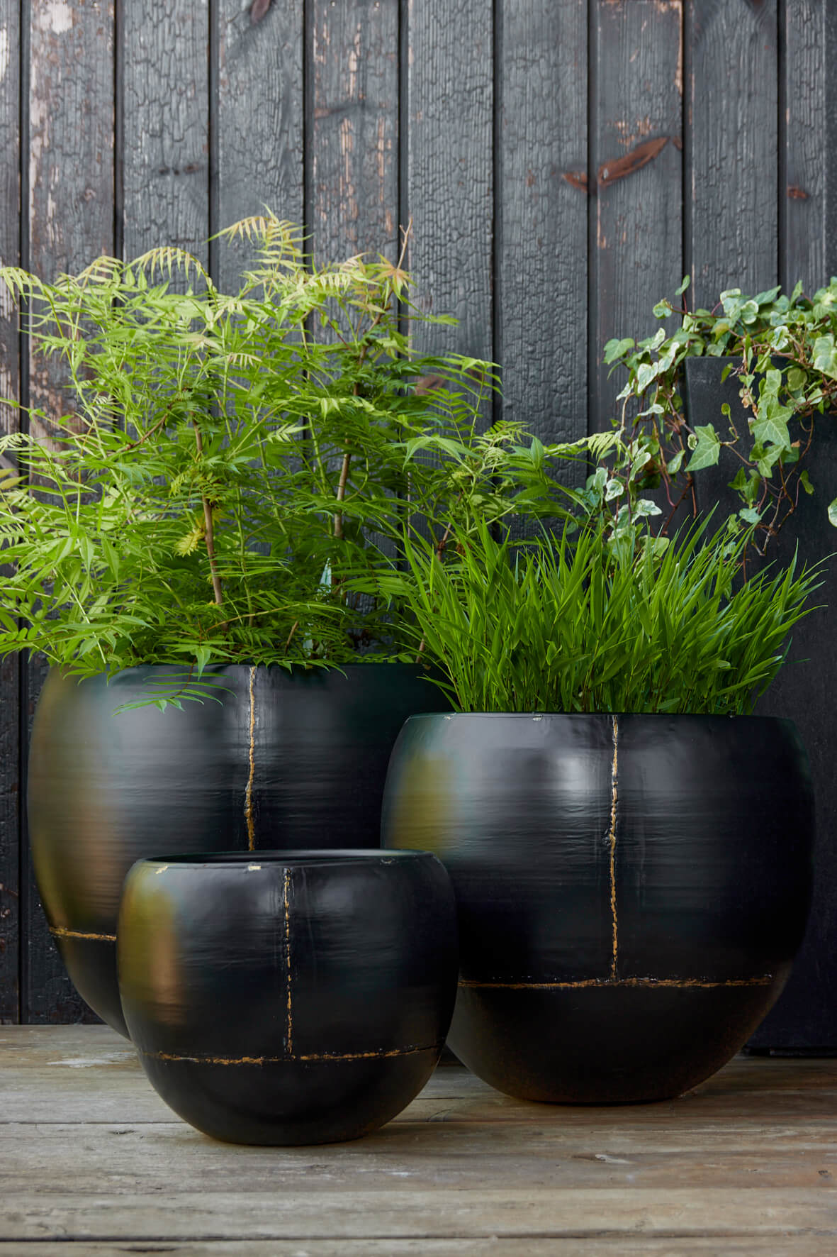 Black Iron Globe Planters - Set of 3