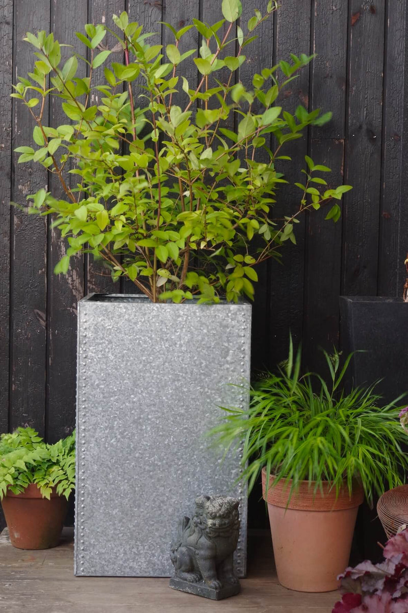 Galvanised Water Tank Planter Extra Large Vincent and Barn