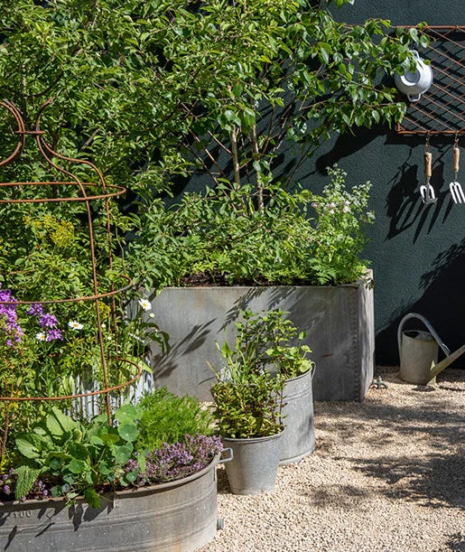 How to create a galvanised container garden.