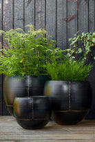 Black Iron Globe Planters - Set of 3