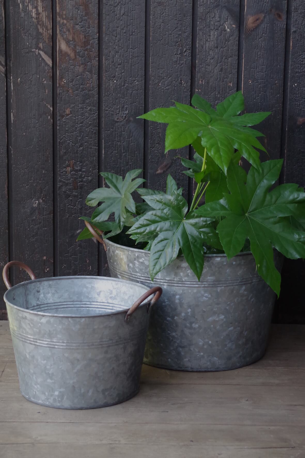 Galvanised Bucket Planters Set of 2 Vincent and Barn