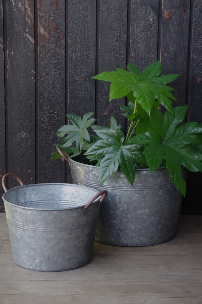 Galvanised Bucket Planters - Set of 2