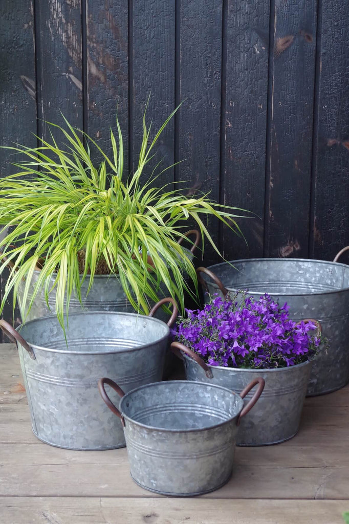 Galvanised Bucket Planters - Set of 5