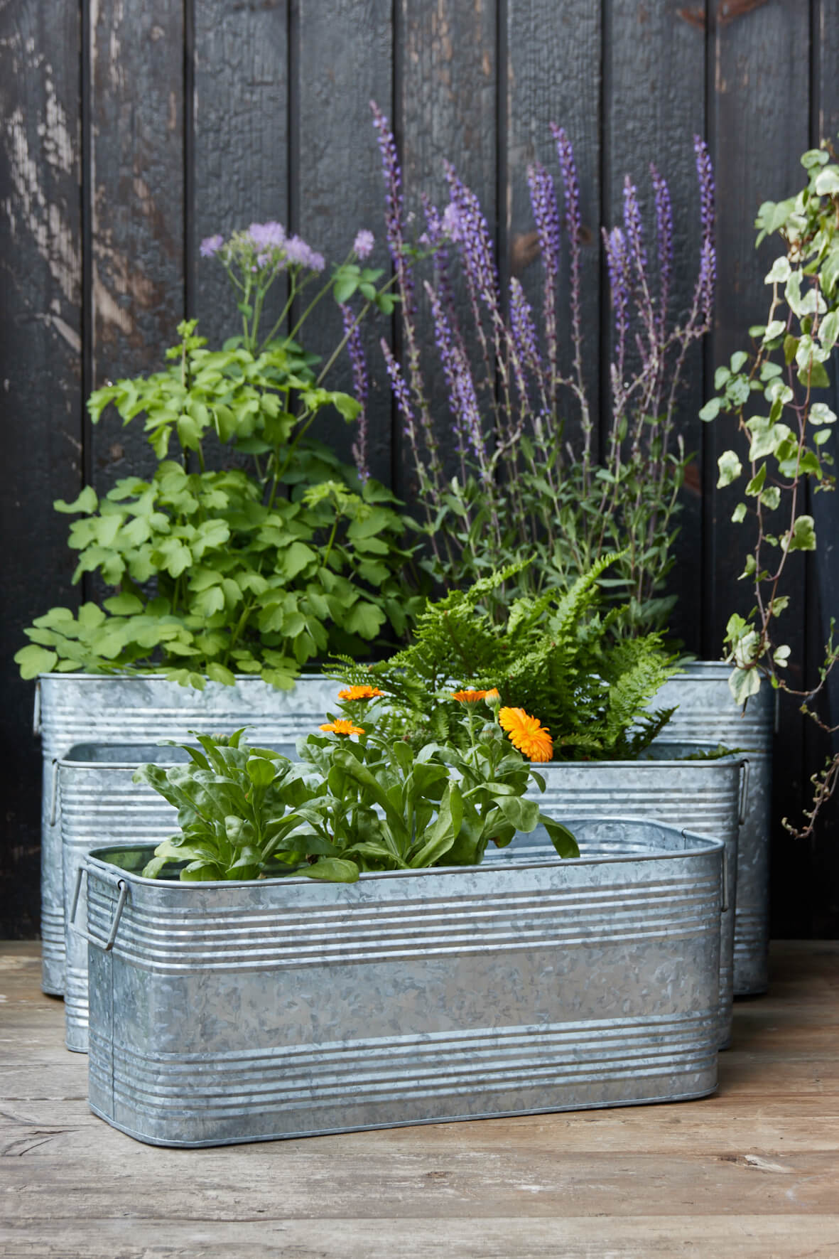 Galvanised Trough Planters with Handles - Set of 3