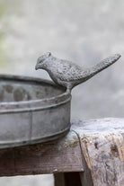 Vintage Style Bird Bath - Grey close up