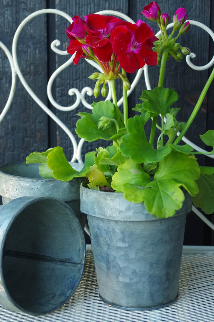 Galvanised Flower Pot Small - Set of 3